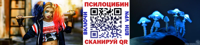 МЕГА рабочий сайт  Новокубанск  Псилоцибиновые грибы прущие грибы 
